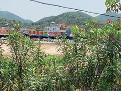 -乡味海鲜农家菜·巽寮土窑鸡(地道美食店)
