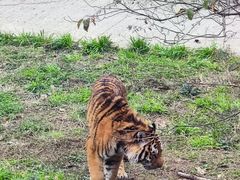 -贵州森林野生动物园