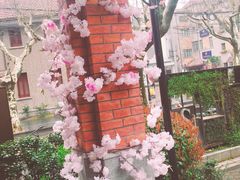 -星巴克臻选(思南公馆店)