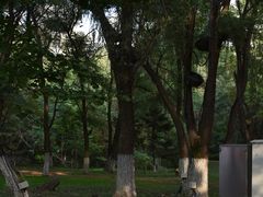 -长白岛森林公园