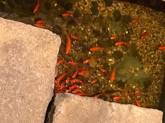 -邈墨茶馆(凤起路店)