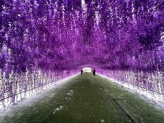 -绿野森林乐园冰雪季