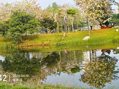 -四海公园(南山区)