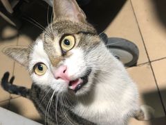 -小象钓虾·营地烧烤(洛溪店)