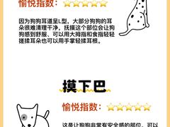 -翊宠yipet猫狗购宠庄园犬舍•猫舍