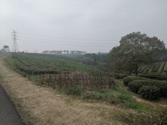-游子山休闲旅游区