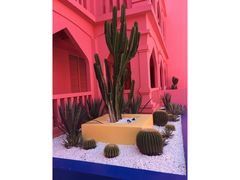 -漳州滨海火山岛自然生态风景区