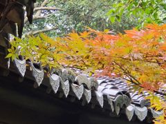 -杭州西子湖四季酒店·金沙厅