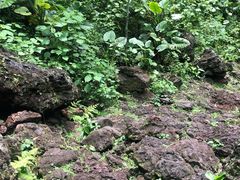-海口火山口国家地质公园
