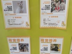 -瑞虹新天地月亮湾