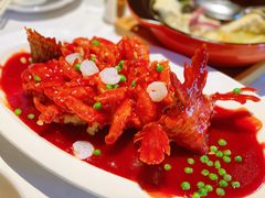 松鼠桂鱼-玫瑰厅上海菜(兴国路店)