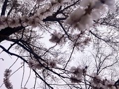 -碑林公园
