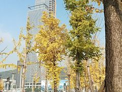 -两江幸福广场