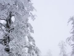 -瓦屋山景区