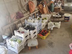 -马陆小张葡萄园农家乐