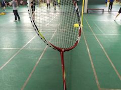 -东丽温泉羽毛球