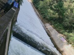-阿哈湖国家湿地公园