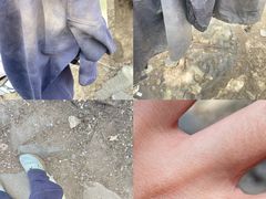 -北京鹫峰国家森林公园