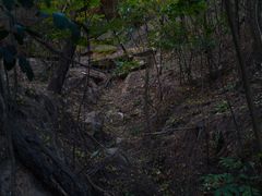 -草庵摩尼教遗址公园