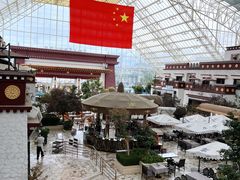 -拉萨圣地天堂洲际大饭店-自助餐厅