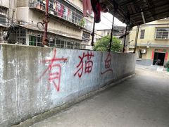 -舟舟刮凉粉