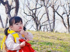 -国际非物质文化遗产博览园
