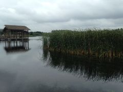 iphone_upload_pic-溱湖国家湿地公园