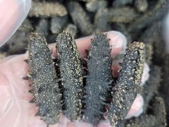 -大连双兴商品城