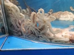 -润洲海鲜食府