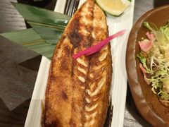 -九州酒场ひこぞう(2号店)