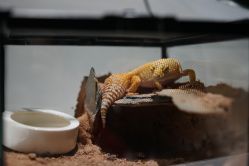 -酷嗒动物文化乐园(cutezoo西溪乐天城店)