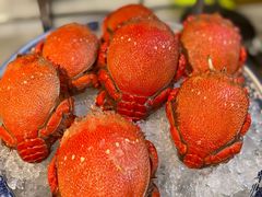 老虎蟹-苏州苏州湾艾美酒店-新食谱全日制餐厅