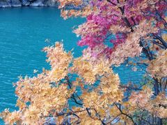 -叠溪松坪沟景区