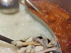 -淼福猪肚鸡·椰子鸡火锅(大沙地店)