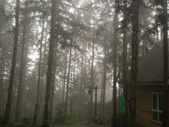 android_upload_pic-摩围山景区