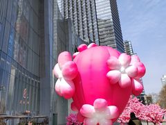 -金茂览秀城