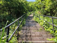 -铜陵市铜官山森林公园