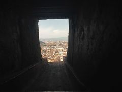 -圣母百花大教堂穹顶