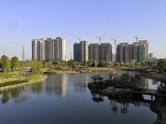 -王借岗森林公园