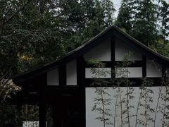 -望江楼公园