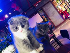 -KingBull私教健身&格斗订制(龙井商业中心店)