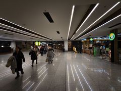 -谢列梅捷沃国际机场