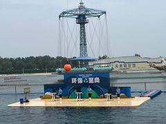 -秦皇岛乐岛海洋王国