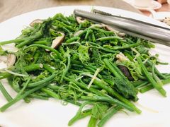 -佛光山朝山会馆