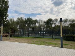 -丁香湖公园