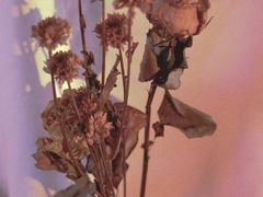 -江渔儿酸菜鱼(东山店)