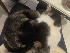 -Peet's Coffee皮爷咖啡(豫园店)