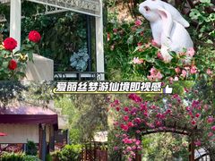 -莫多多餐厅