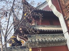 -长春观