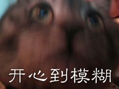 -奈斯宠物医院·核磁CT·异宠专科·内镜(中南店)